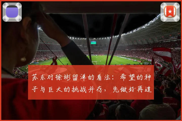 苏东对徐彬留洋的看法：希望的种子与巨大的挑战并存，先做好再追求完美